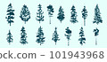 Christmas trees. Fir trees. Textured ink brush drawing. Vector illustration 101943968