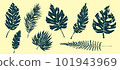Tropical leaves collection. Textured ink brush drawing. Vector illustration 101943969