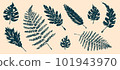 Tropical leaves collection. Textured ink brush drawing 101943970