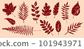 Autumn leaves set, isolated on white background. Textured ink brush drawing. illustration 101943971