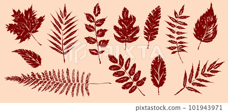 Autumn leaves set, isolated on white background. Textured ink brush drawing. illustration 101943971