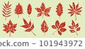 Autumn leaves set, isolated on white background. Textured ink brush drawing. illustration 101943972