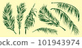 Palm tree leaves. Textured ink brush drawing 101943974
