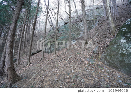 群馬縣桐生市黑根町 Kojin 山 山路上的巨石 2023 年 1 月 13 日 101944026