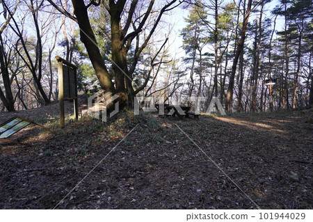 群馬縣桐生市黑根町Kojinyama山頂附近的休息區2023年1月13日 101944029