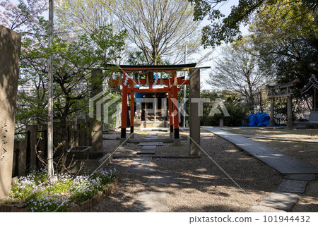 大阪天王寺安井神社稻荷神社紅色鳥居（2023年4月1日攝） 101944432