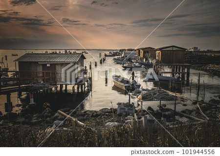 Sacca degli Scardovari Po river Sacca degli Scardovari Po river 101944556