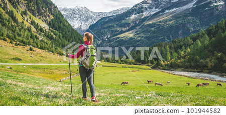 Young woman hiking in the mountains Young woman hiking in the mountains 101944582