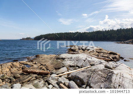 Rocky Shore on West Coast of Pacific Ocean in Nanoose Bay. Nature Background 101944713
