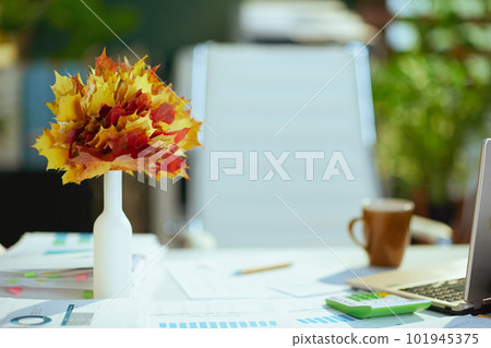 Autumn leaves in vase on table with documents in office Autumn leaves in vase on table with documents in office 101945375