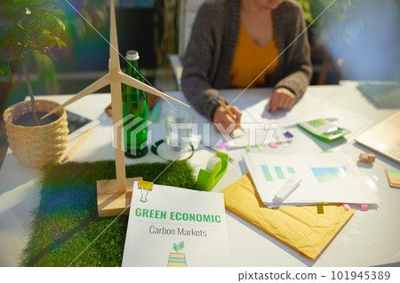 eco aware business. business woman working with documents 101945389