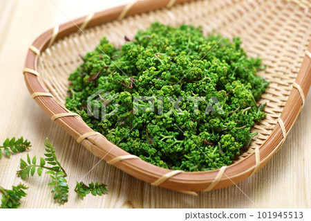 Flower Pepper Flower Pepper 101945513