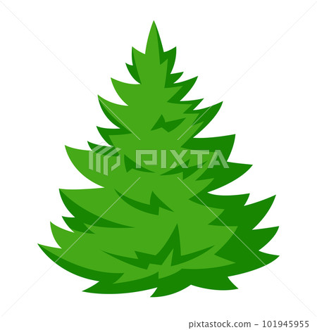 Illustration of fir tree. Forest or park landscape element. Seasonal image. 101945955