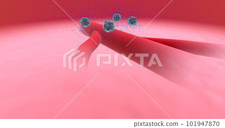 Anaphylaxis, Histamine Release and Vascular Edema 101947870