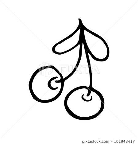 Sweet cherry in line style. Isolated hand drawing berry vector illustration. Doodle simple outline. Sweet cherry in line style. Isolated hand drawing berry vector illustration. Doodle simple outline. 101948417