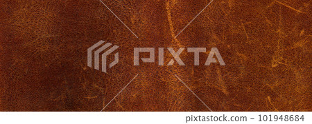 Genuine cowhide texture close up, brown cowhide texture can be background Genuine cowhide texture close up, brown cowhide texture can be background 101948684