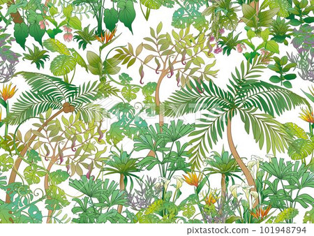 Tropical plants, flowers. Vector illustration. 101948794