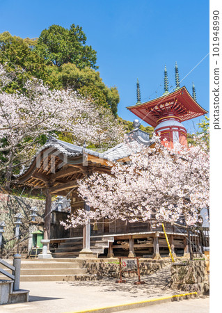 【23號不動所】春藥王寺、朝聖塔【四國88處】 【23號不動所】春藥王寺、朝聖塔【四國88處】 101948990