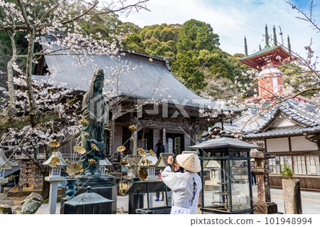 [No. 23 Fudasho] Yugi Pagoda, Gyoran Kannon, Yakuoji Temple in Spring [Shikoku 88 temples] 101948994