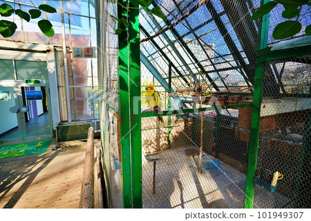 Parakeet in Hakodate City Tropical Botanical Garden 101949307