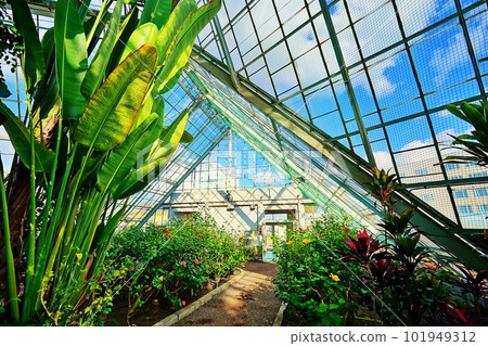  Hakodate Tropical Botanical Garden 101949312