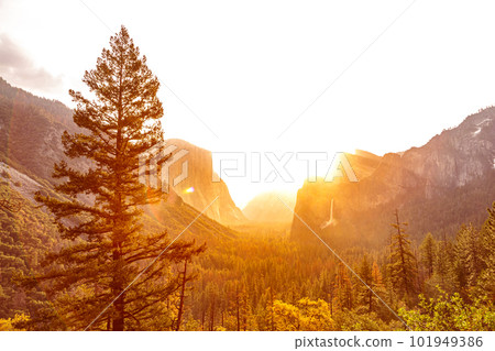 View of Yosemite valley in Yosemite National Park View of Yosemite valley in Yosemite National Park 101949386