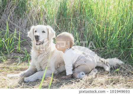 beautiful baby in a suit with suspenders sits in the grass with dog 101949693