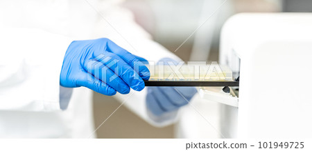 examination of a chemical sample using modern devices in the biochemical laboratory of the research institute 101949725