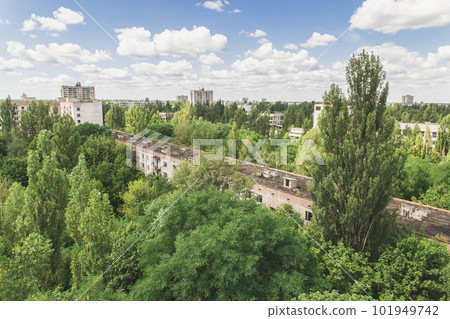 Ghost town Pripyat overgrown by wild self-seeding forest Ghost town Pripyat overgrown by wild self-seeding forest 101949742
