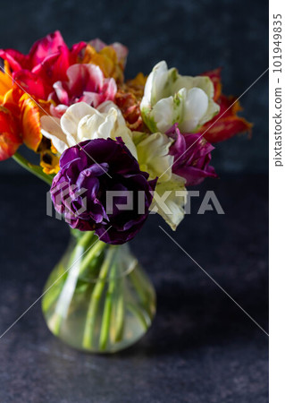 Colorful tulips in a bouquet with pink, red, yellow flowers Colorful tulips in a bouquet with pink, red, yellow flowers 101949835