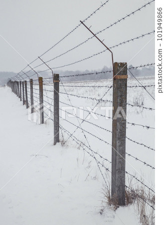 Forbidden territory fenced with barbed wire fence in winter 101949866