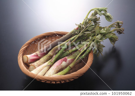 烏多山 烏多山 101950062