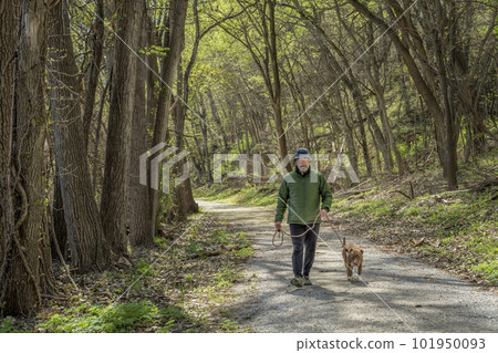 senior man walking with a dog in a forest - Steamboat Trace Trail near Peru, Nebraska senior man walking with a dog in a forest - Steamboat Trace Trail near Peru, Nebraska 101950093