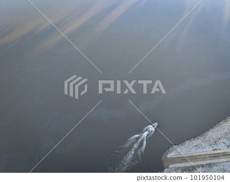 fishing boat leaving a ramp - sunrise aerial view of Missouri River at Dalton Bottom 101950104