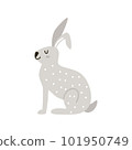 Cute cartoon isolated gray rabbits in Nordic style 101950749