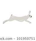 Cute cartoon isolated gray rabbits in Nordic style 101950751