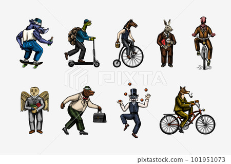 Fox on a bicycle, Cat juggler, turtle on a scooter. Bear, horse, hare, Owl, Squid. Fashion Animal Fox on a bicycle, Cat juggler, turtle on a scooter. Bear, horse, hare, Owl, Squid. Fashion Animal 101951073