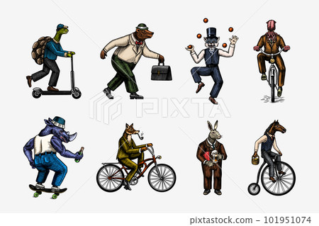 Fox on a bicycle, Cat juggler, turtle on a scooter. Bear, horse, hare, Owl, Squid. Fashion Animal 101951074