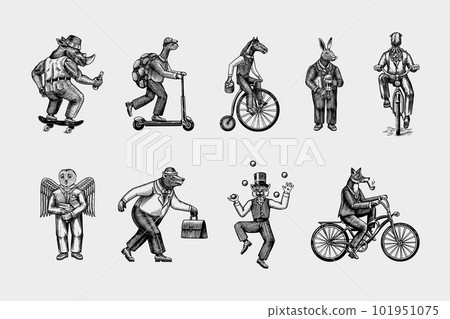 Fox on a bicycle, Cat juggler, turtle on a scooter. Bear, horse, hare, Owl, Squid. Fashion Animal 101951075