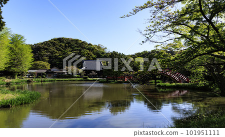 新綠閃耀的稱名寺風景 101951111