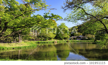 Scenery of Shomyo-ji Temple where fresh greenery shines 101951115