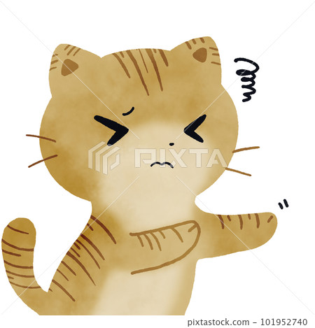 不情願的貓 101952740