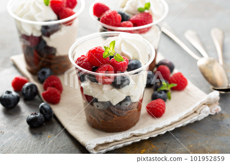 Chocolate mousse dessert with fresh berries 101952859
