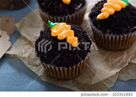 Carrot cupcakes with chocolate crumbs and frosting 101952883