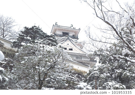 白雪覆蓋的高知城 白雪覆蓋的高知城 101953335
