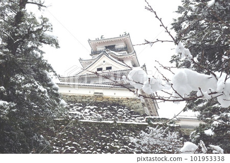 白雪覆蓋的高知城 白雪覆蓋的高知城 101953338