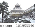 白雪覆蓋的高知城 101953340