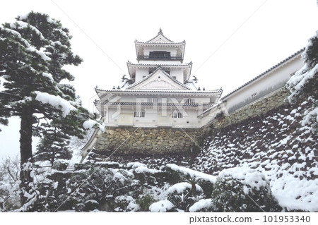 白雪覆蓋的高知城 白雪覆蓋的高知城 101953340