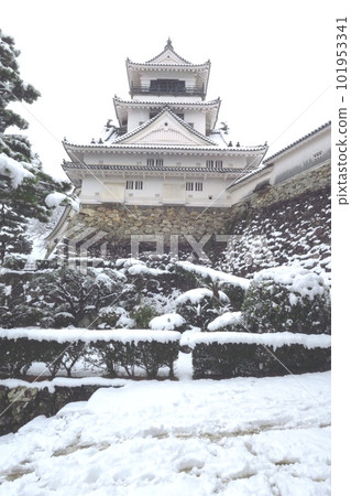 白雪覆蓋的高知城 白雪覆蓋的高知城 101953341