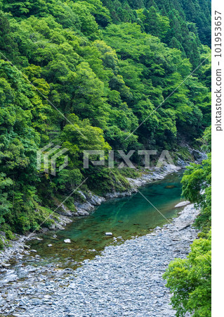 Iyakeki Iyakeki 101953657